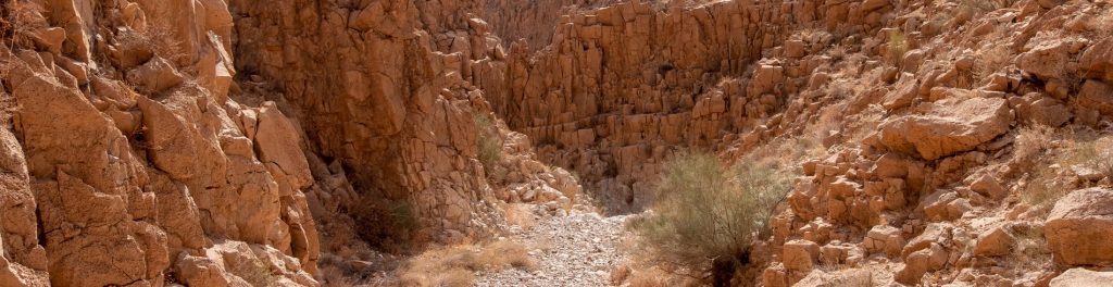 שביל ישראל – ממצד תמר למעלה עלי