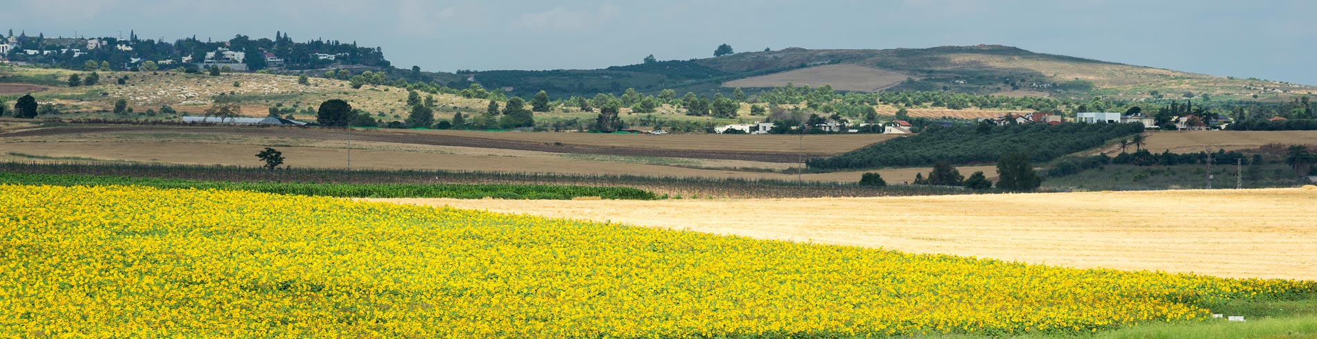 שביל ישראל – מלטרון ליער קדושים