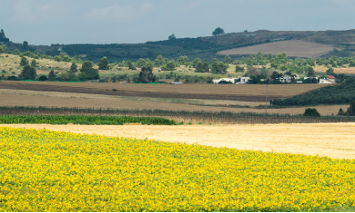 שביל ישראל – מלטרון ליער קדושים