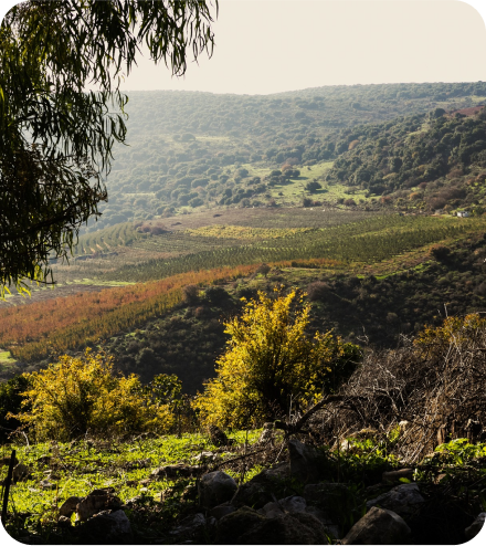 שביל ישראל - תמונות מעין עקב לחניון נחל חווה